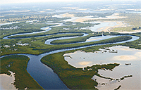  Saulom Delta, Senegal Foto: Wikipedia