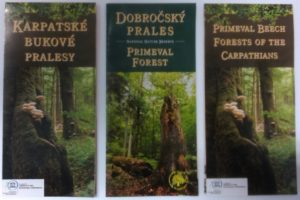 brožúra pralesy