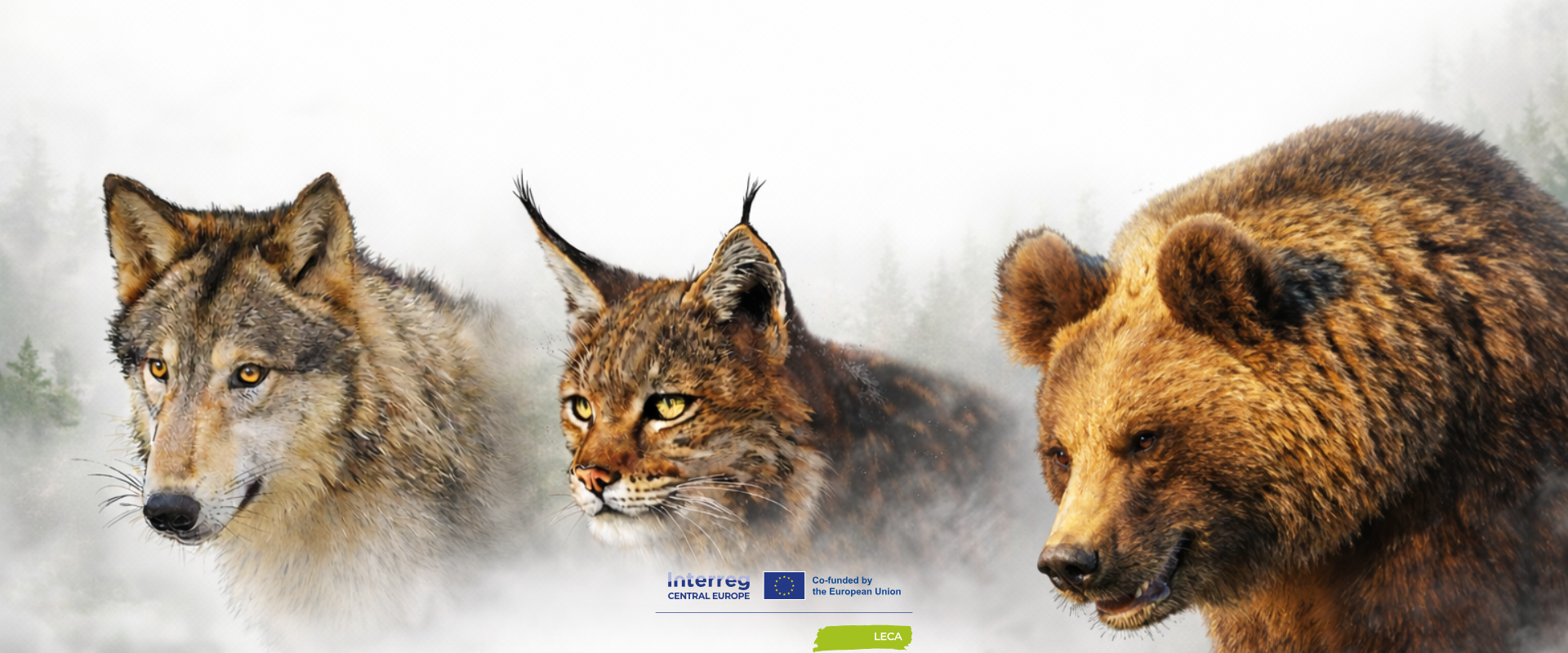 Podpora spolunažívania a ochrany veľkých šeliem v Karpatoch