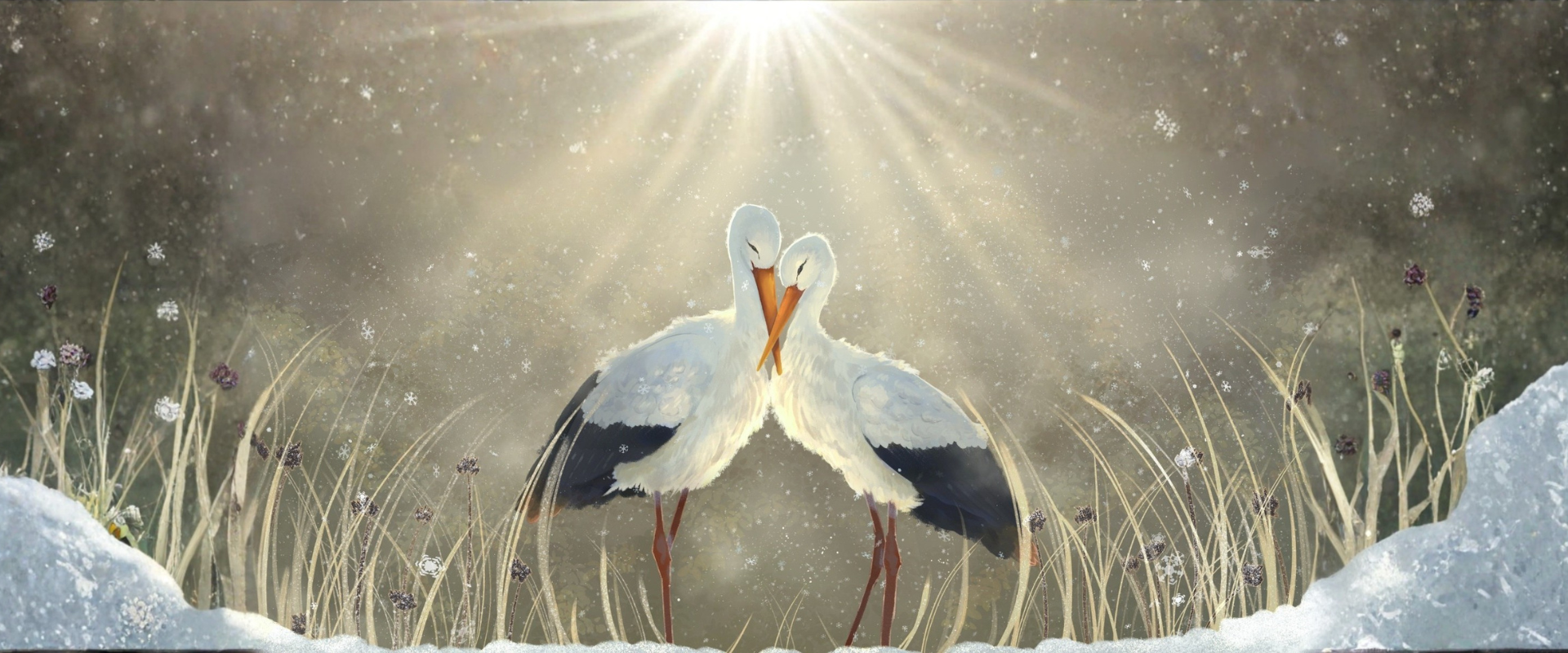 VYHODNOTENIE V. ročníka súťaže Zimná krajina na pohľad(nicu)