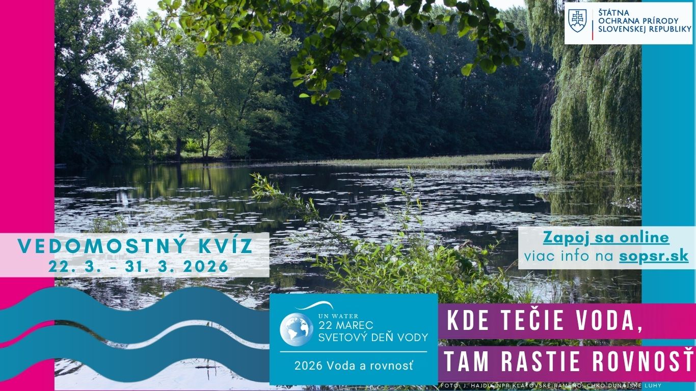 plagat voda kv&iacute;z