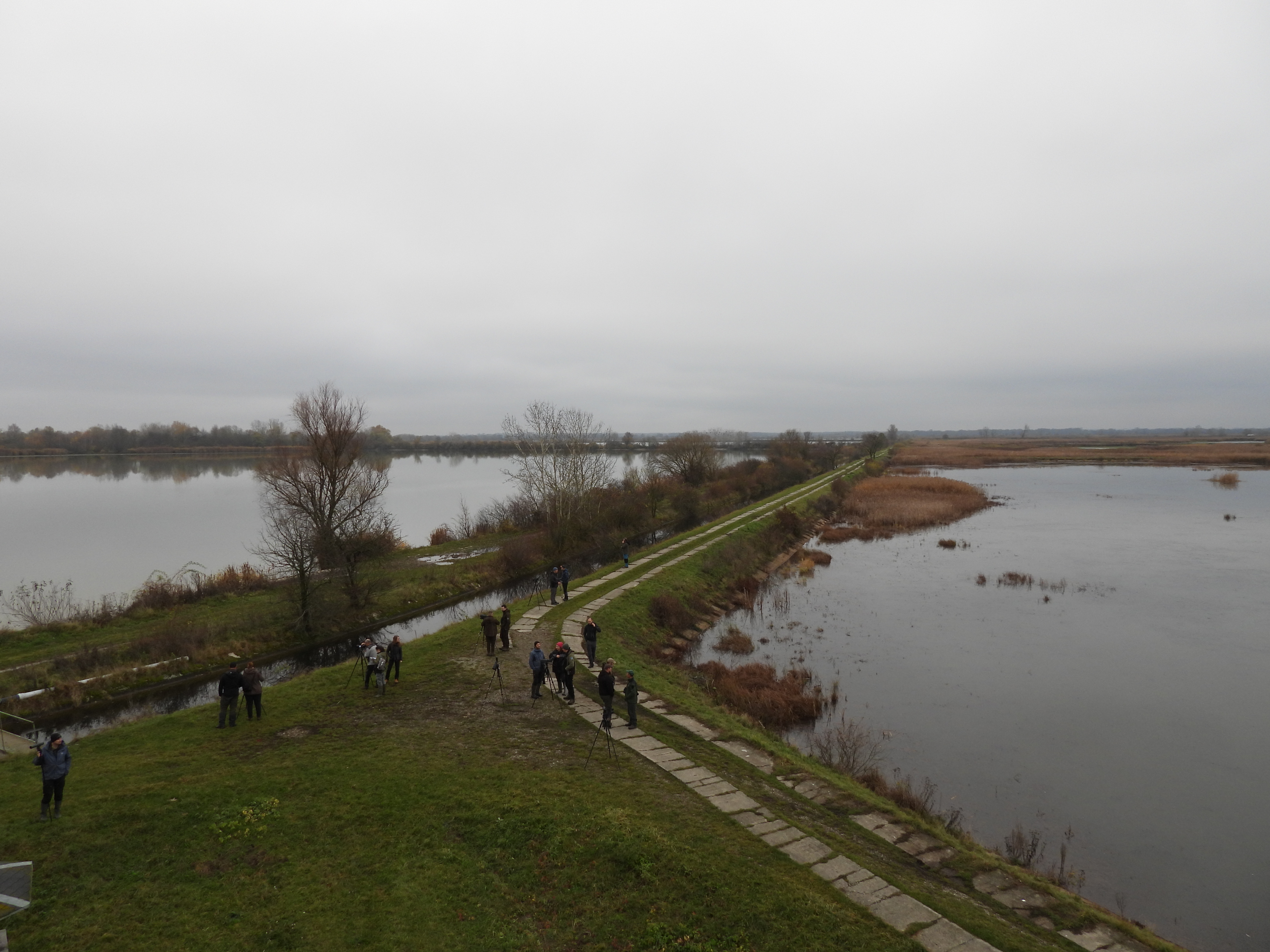 Účastníci školenia počas pozorovania vtáctva. Pohľad na Senianske rybníky, kde sa každoročne zhromažďujú veľké kŕdle migrujúcich vodných vtákov. Lokalita je súčasťou CHVÚ Senianske rybníky a patrí medzi najvýznamnejšie ornitologické územia Slovenska. Počas zimného sčítania vodného vtáctva sú tu pravidelne zaznamenávané tisíce jedincov kačíc, husí, potápok či brodivcov.