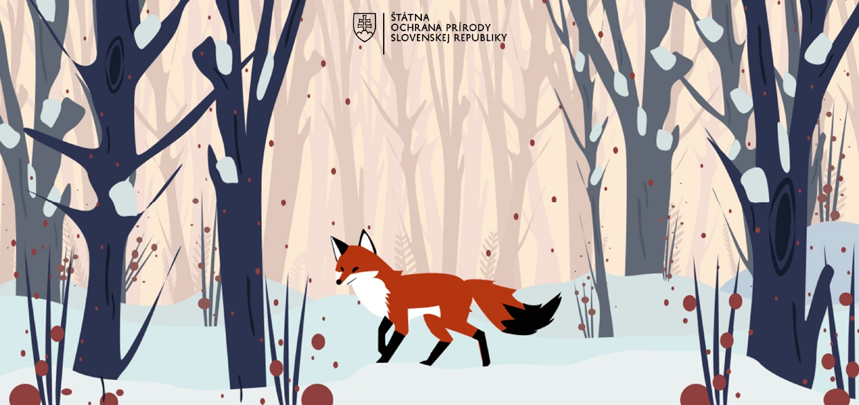 Zimná ilustrácia líšky prechádzajúcej lesným prostredím s logom ŠOP SR.