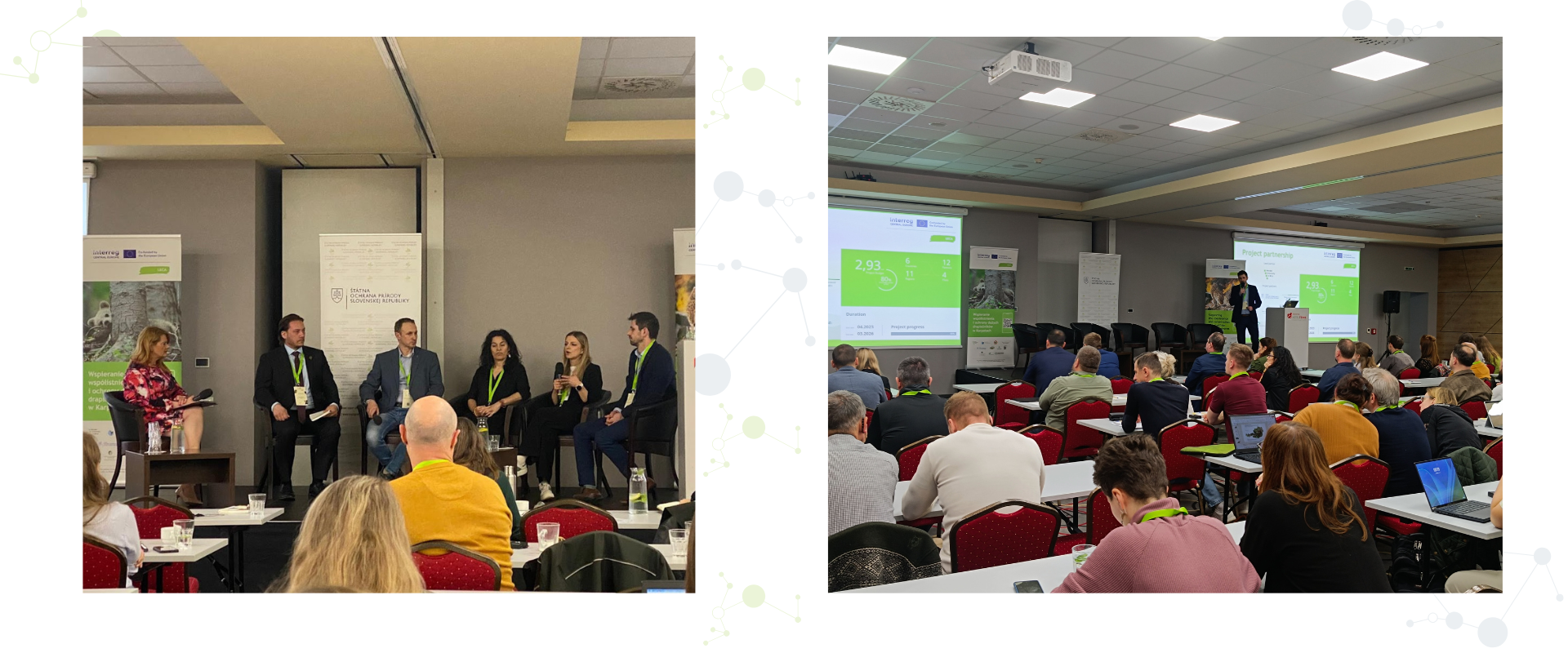 Panelov&aacute; diskusia odborn&iacute;kov počas z&aacute;verečnej konferencie projektu LECA vo Zvolene, Prezent&aacute;cie v&yacute;sledkov projektu a medzin&aacute;rodnej spolupr&aacute;ce v oblasti ochrany veľk&yacute;ch &scaron;eliem (arch&iacute;v &Scaron;OP SR))