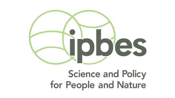 ipbes logo