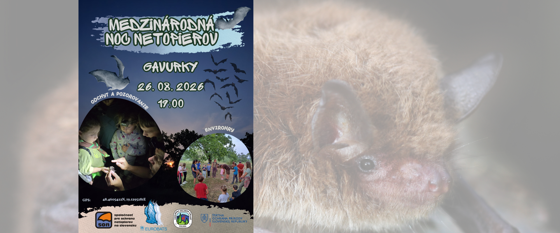 Plag&aacute;t Medzin&aacute;rodnej noci netopierov v Gavurk&aacute;ch doplnen&yacute; detailnou fotografiou netopiera. Podujatie sa konalo 26. augusta 2026 a zahŕňalo pozorovanie netopierov a environment&aacute;lne aktivity.