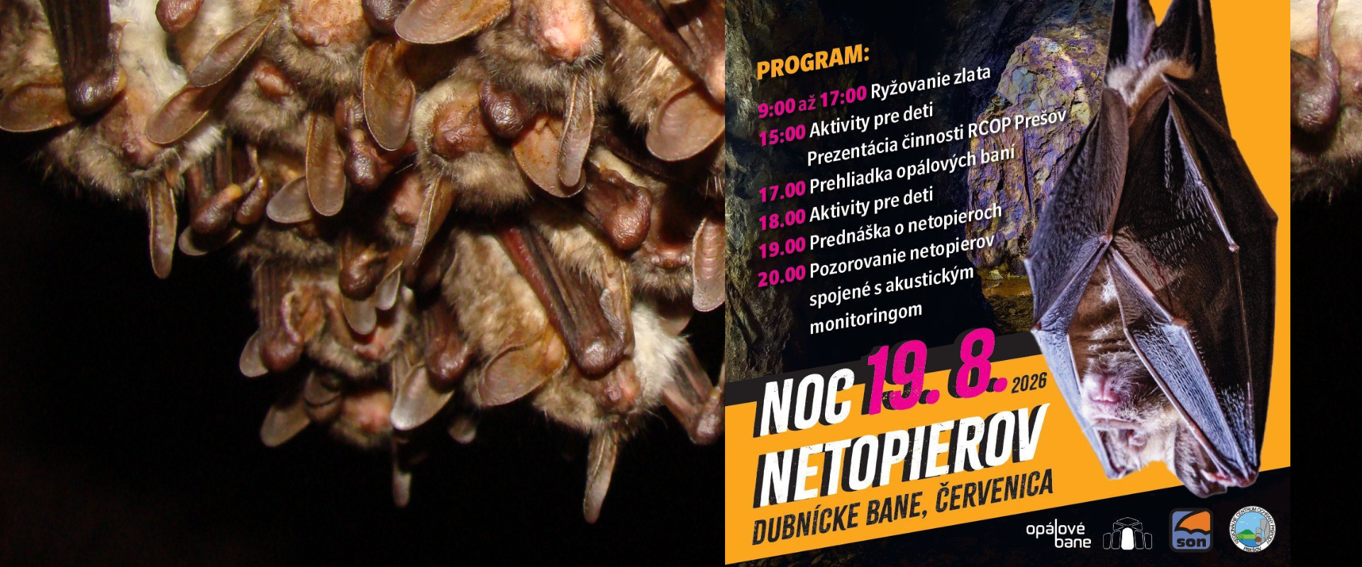 Kol&oacute;nia netopierov v podzemnom &uacute;kryte a plag&aacute;t podujatia Noc netopierov v Dubnick&yacute;ch op&aacute;lov&yacute;ch baniach pri Červenici, ktor&eacute; sa konalo 19. augusta 2026.