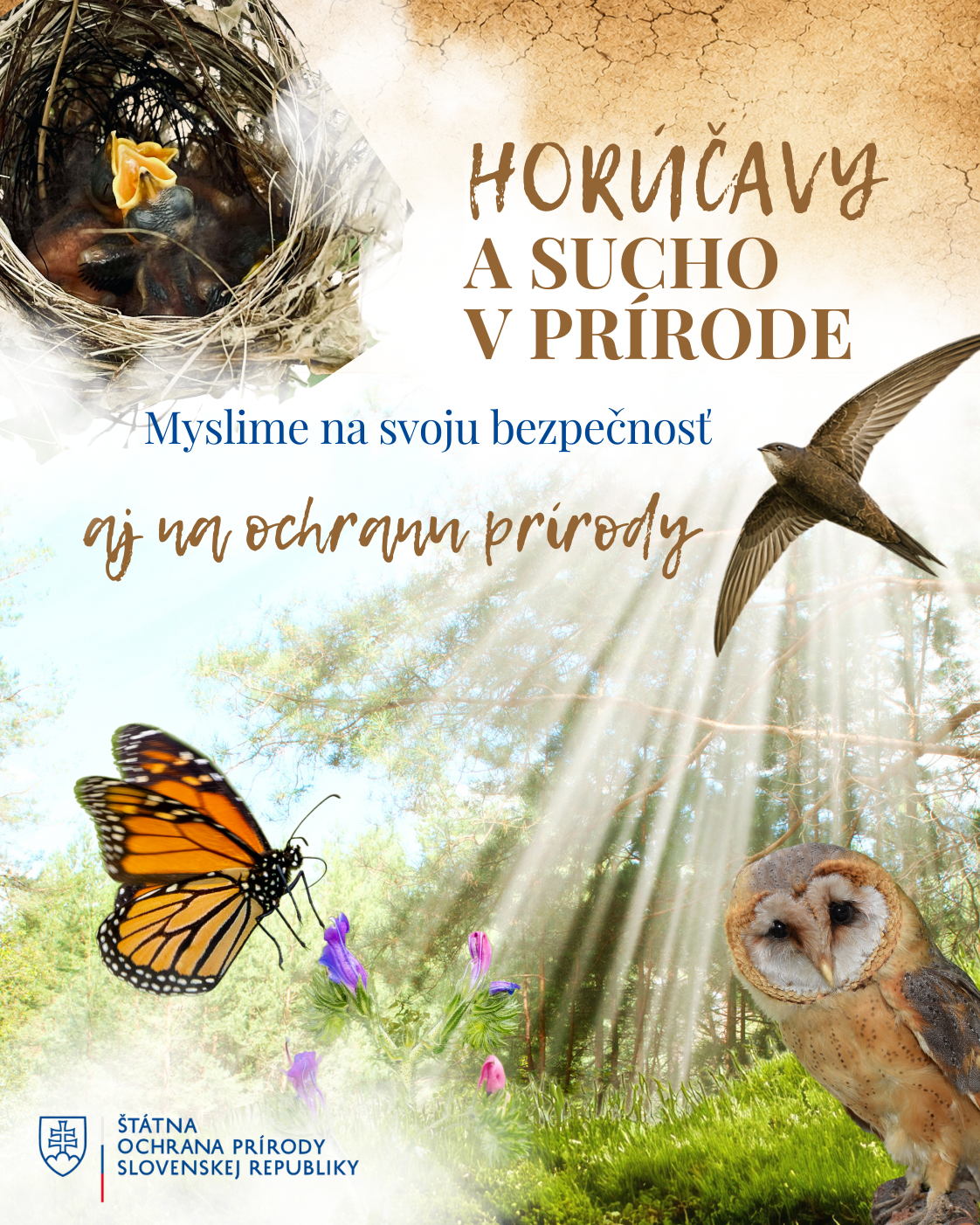 Hor&uacute;čavy a sucho v pr&iacute;rode: ako pom&ocirc;cť živoč&iacute;chom a chr&aacute;niť pr&iacute;rodu - s&uacute;bor kr&aacute;tkych odpor&uacute;čan&iacute;