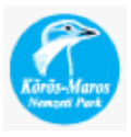logo kmnpi