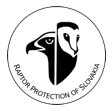 logo dravce