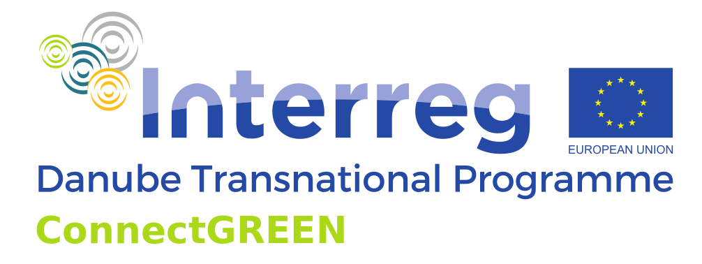 logo connect green