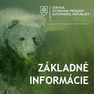 ilustracny obrazok pre zaklade informacie o medvedovi hnedom