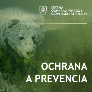 ilustracny obrazok medved hnedy: ochrana a prevencia