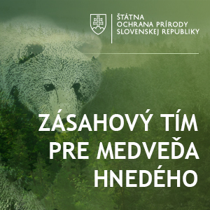 ilustracny obrazok medved hnedy: zasahovy tim pre medveda hnedeho