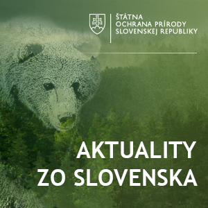 ilustracny obrazok medved hnedy: aktuality o medvedovy hnedom