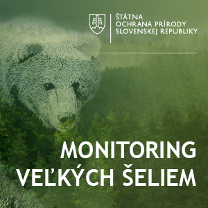 ilustracny obrazok medved hnedy: monitoring velkych seliem