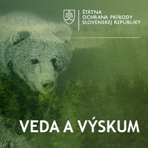 ilustracny obrazok medved hnedy: veda a vyskum