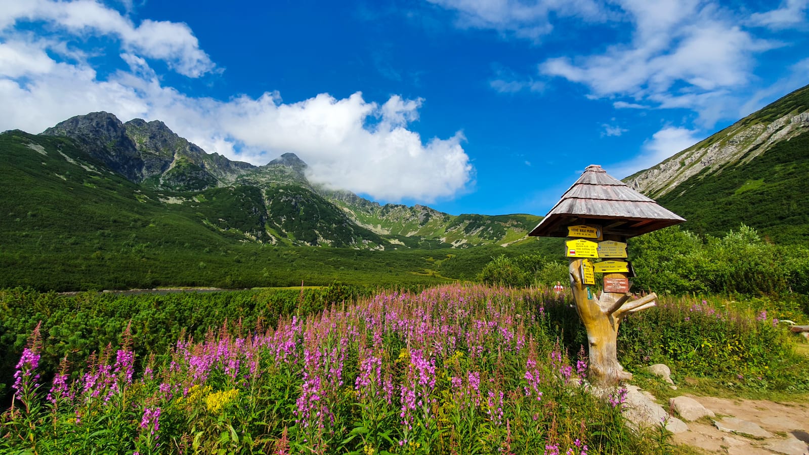 Biosférická rezervácia Tatry