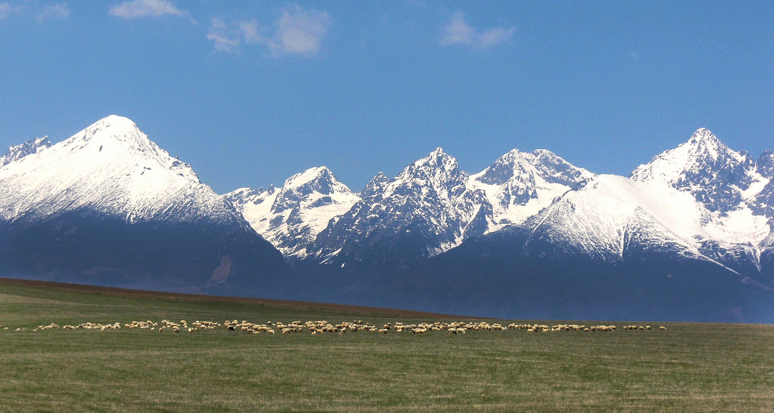 Biosférická rezervácia Tatry