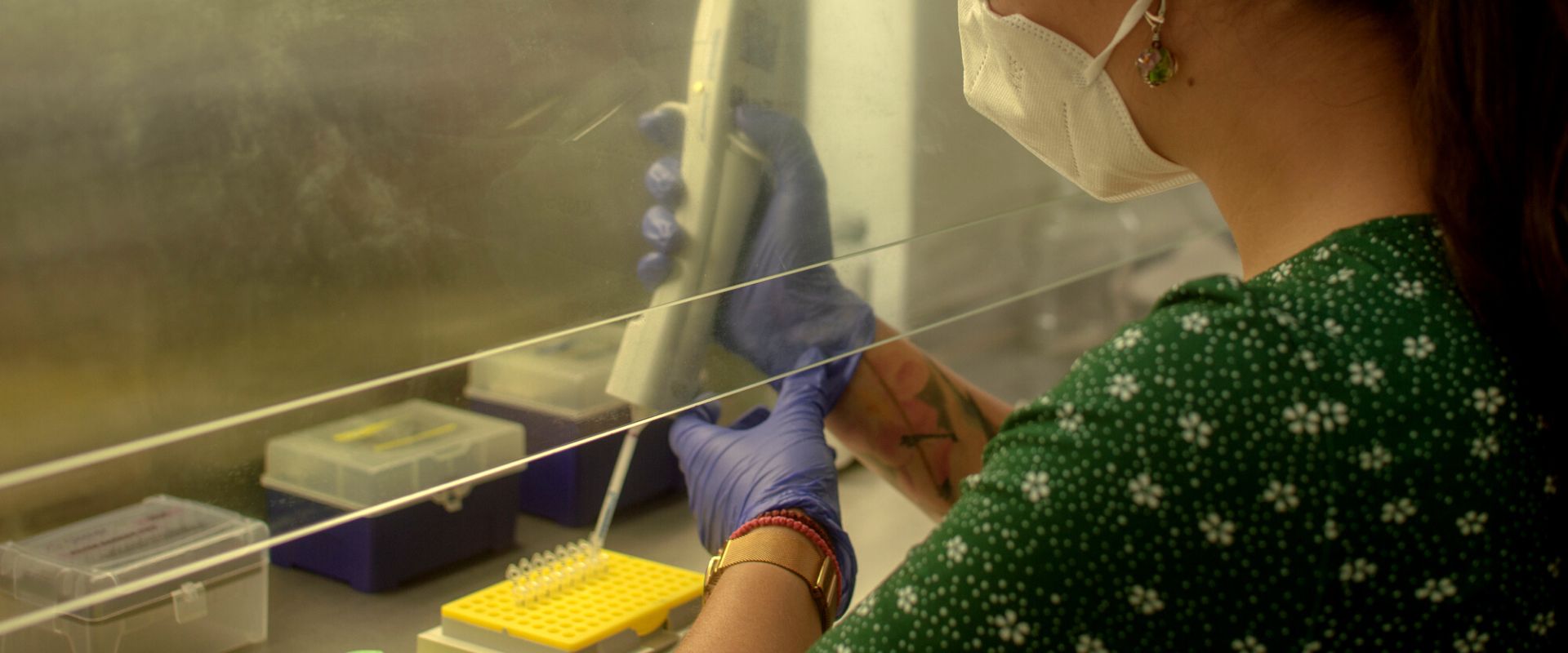 DNA analýza vzoriek trusu