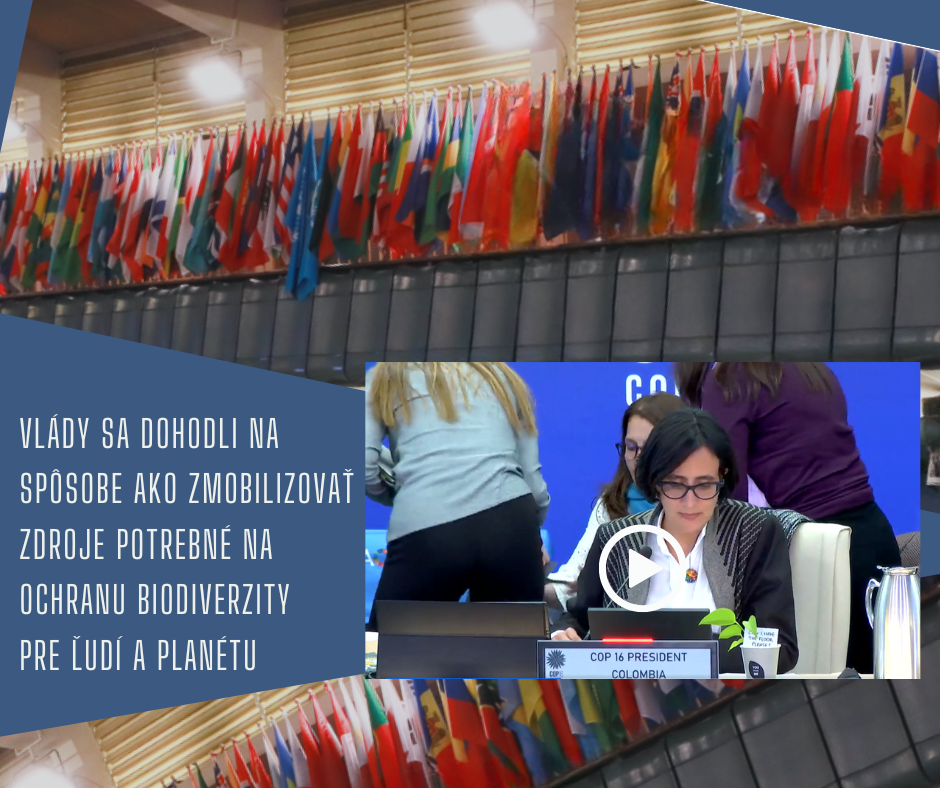 Koláž z rokovania konferencie COP 16 o biodiverzite. V popredí je predsedníčka konferencie z Kolumbie sediaca za stolom s menovkou „COP 16 PRESIDENT – COLOMBIA“. Na pozadí sú desiatky vlajok štátov sveta. Text na obrázku znie: „Vlády sa dohodli na spôsobe, ako zmobilizovať zdroje potrebné na ochranu biodiverzity pre ľudí a planétu.“