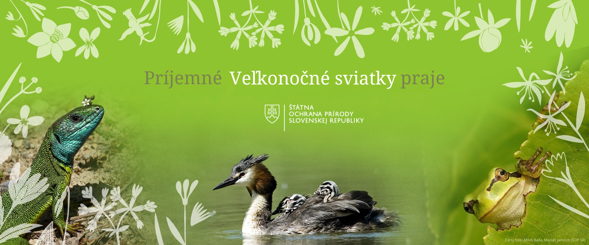 Zelený veľkonočný pozdrav s nápisom „Príjemné Veľkonočné sviatky praje Štátna ochrana prírody Slovenskej republiky“. Na obrázku je jašterica zelená, potápač veľký s mláďatami na chrbte a rosnička zelená. Pozadie zdobia siluety jarných kvetov a listov.