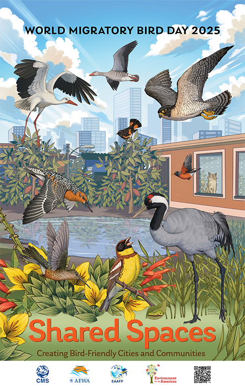 Ilustrovaný plagát k Svetovému dňu sťahovavého vtáctva 2025 s názvom Shared Spaces – Creating Bird-Friendly Cities and Communities. Zobrazuje rôzne druhy vtákov lietajúcich a odpočívajúcich v mestskom prostredí s vodnou plochou, rastlinami a budovami v pozadí.