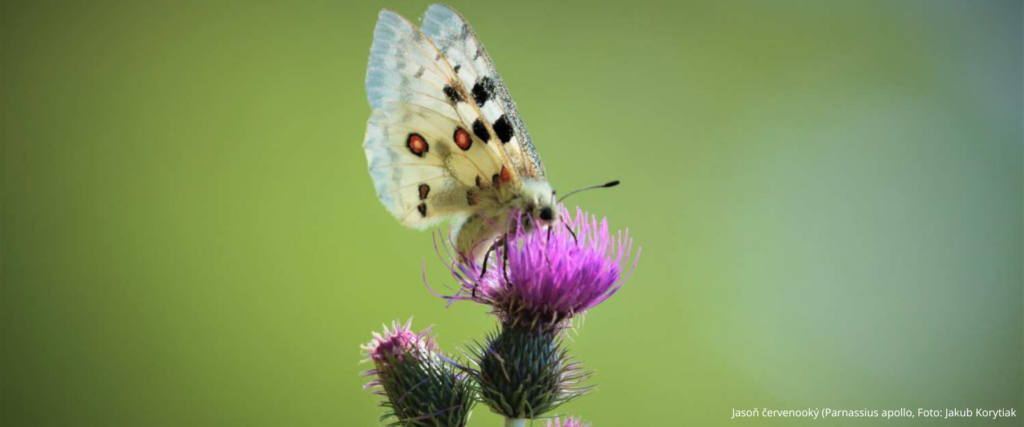Sústava Natura 2000 spája Európu už 33 rokov