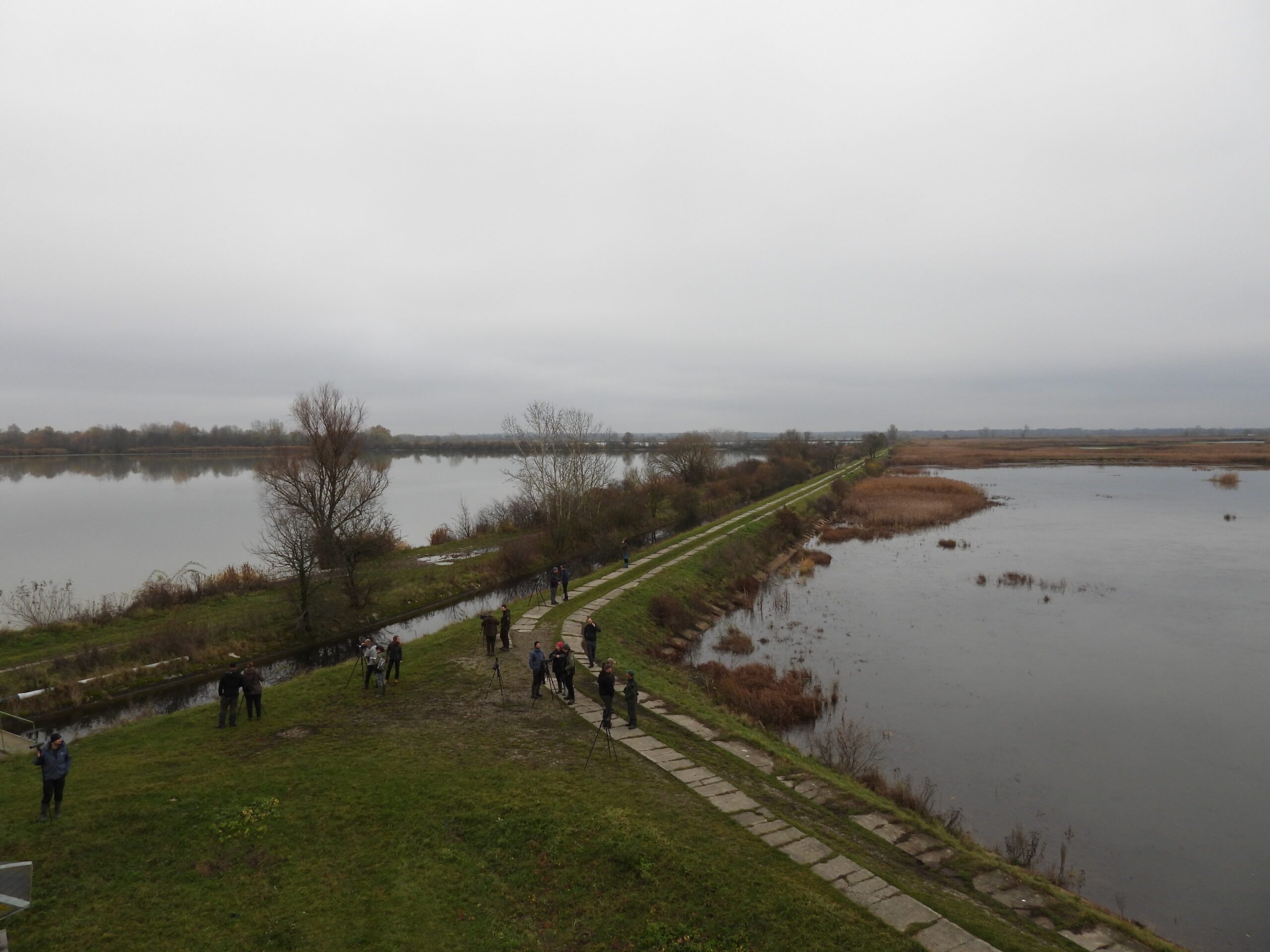 Účastníci školenia počas pozorovania vtáctva. Pohľad na Senianske rybníky, kde sa každoročne zhromažďujú veľké kŕdle migrujúcich vodných vtákov. Lokalita je súčasťou CHVÚ Senianske rybníky a patrí medzi najvýznamnejšie ornitologické územia Slovenska. Počas zimného sčítania vodného vtáctva sú tu pravidelne zaznamenávané tisíce jedincov kačíc, husí, potápok či brodivcov.