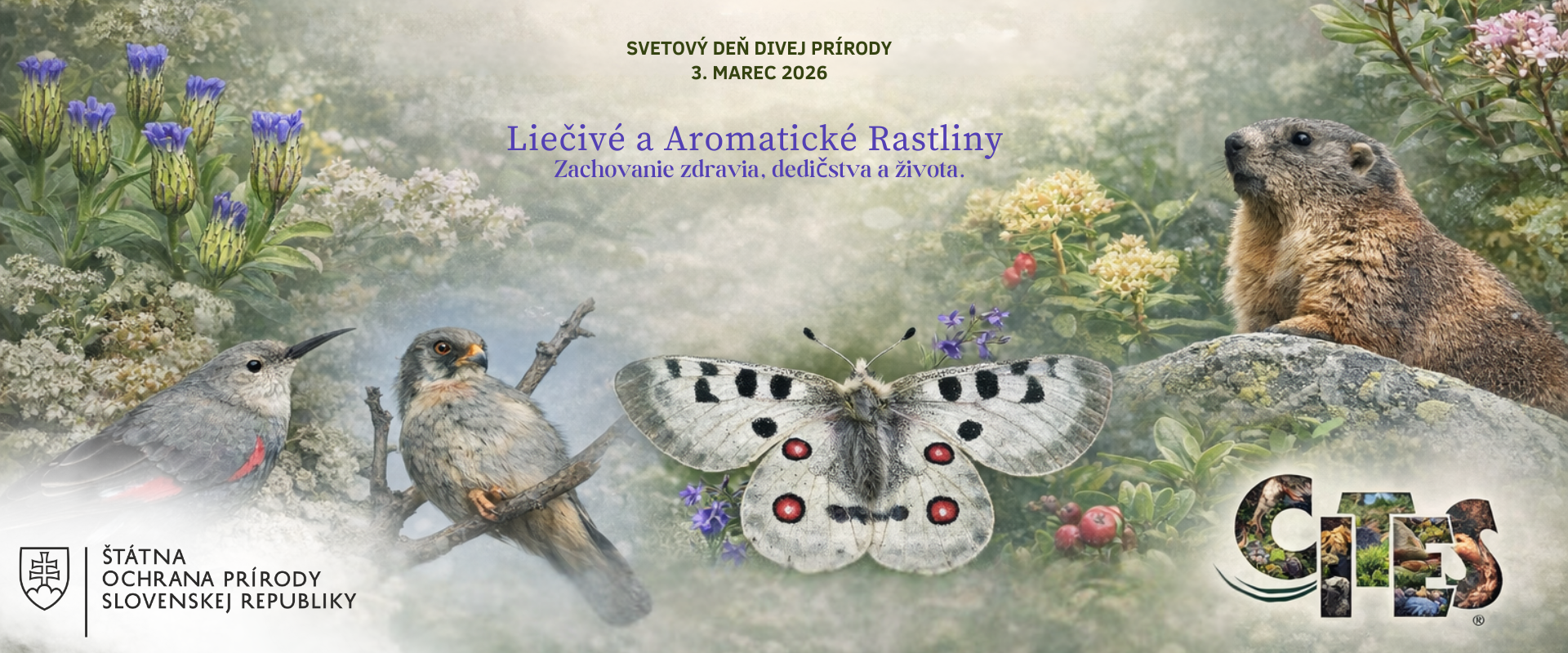 „Plagát Svetového dňa divej prírody 2026 zameraný na liečivé a aromatické rastliny, doplnený fotografiami rastlín a živočíchov Slovenska.“