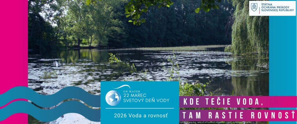 22. marec, Svetový deň vody: Kde tečie voda, tam rastie rovnosť