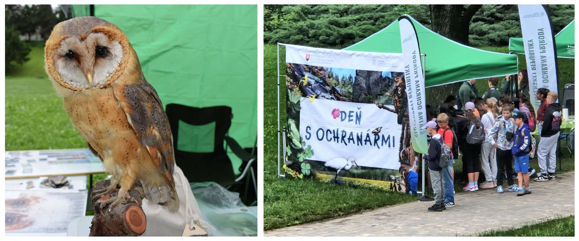 Súčasťou podujatia boli aj ukážky chránených druhov živočíchov a interaktívne stanovištia, ktoré návštevníkom približovali rozmanitosť slovenskej prírody zážitkovou formou.
