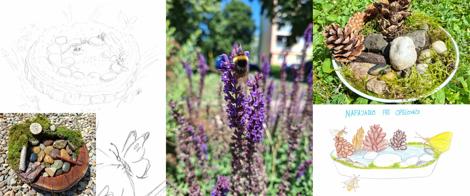 Koláž fotografií a ilustrácií zobrazujúca návrhy napájadiel pre opeľovače, fotografie čmeliaka a vytvorených napájadiel v rámci školskej súťaže.