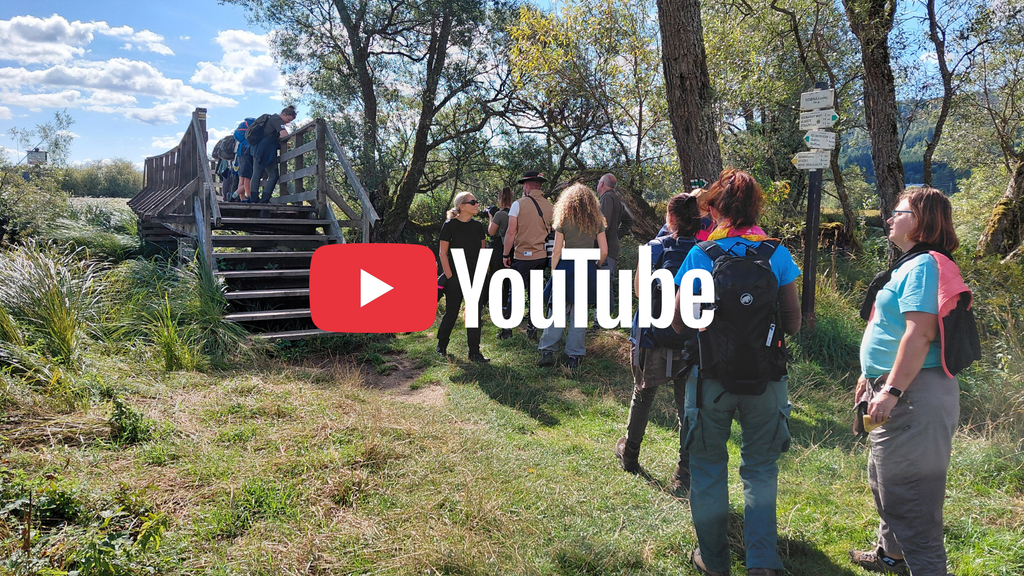 Skupina účastníkov odbornej exkurzie v Národnom parku Šumava pri drevenom chodníku v prírodnom prostredí. V strede obrázka je umiestnené logo YouTube, ktoré odkazuje na video z exkurzie.