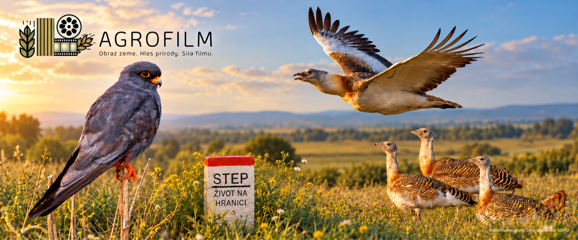 Koláž k filmu „Step – život na hranici“ s logom festivalu AGROFILM, sokolom kobcovitým, dropom veľkým v letu a skupinou dropov v stepnej krajine. Uprostred je hraničný kameň s nápisom „STEP – ŽIVOT NA HRANICI“.