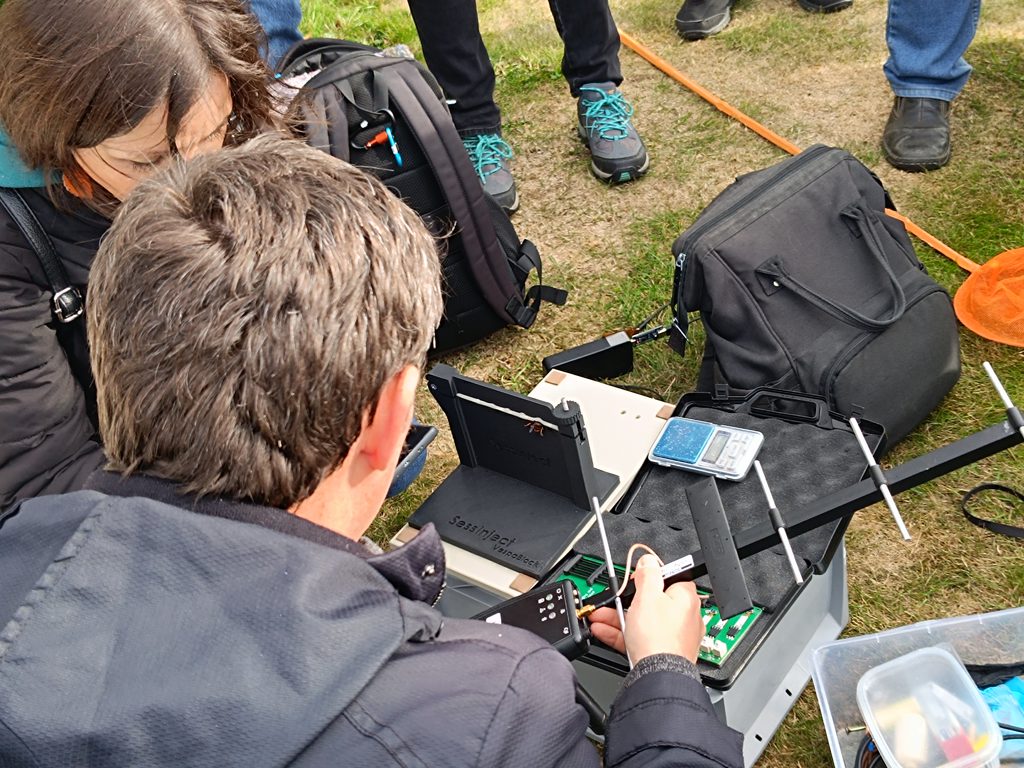 Odborníci pripravujú v teréne technické zariadenie používané pri monitoringu sršňov.